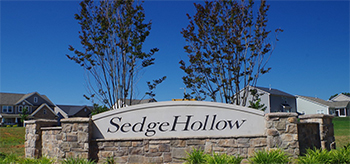 Sedge Hollow